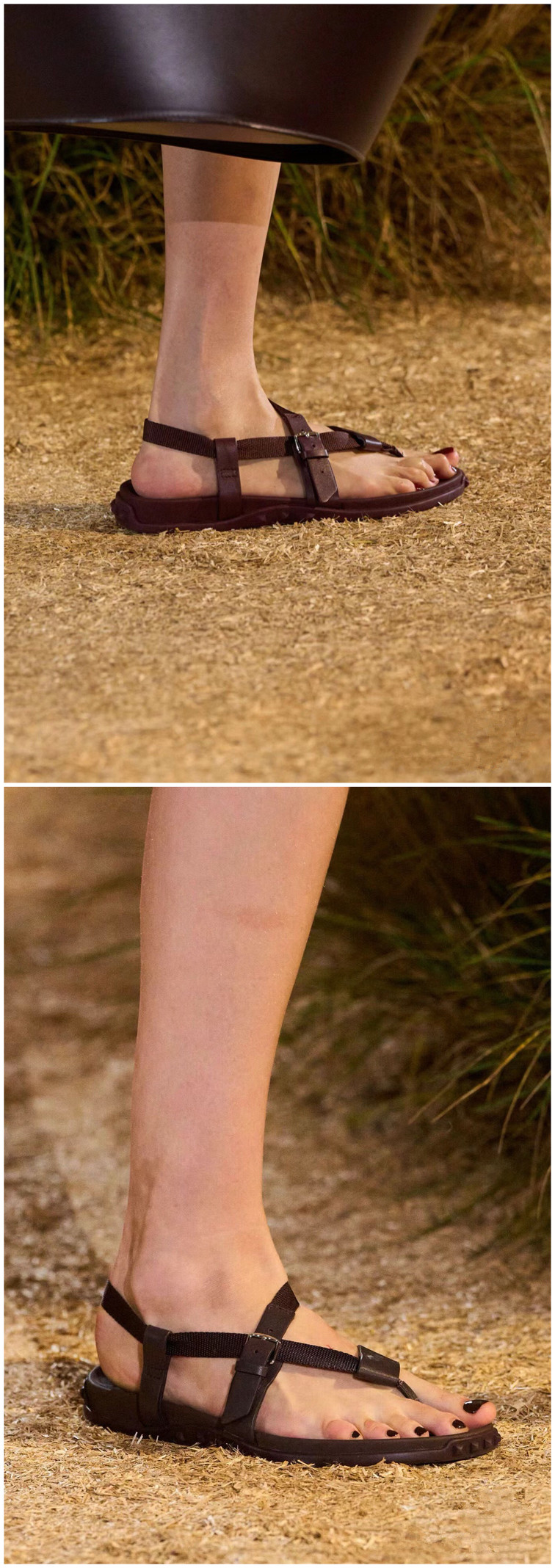 499.jpg